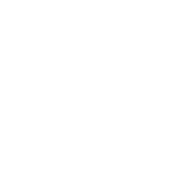 VIVA SUPLEMENTOS